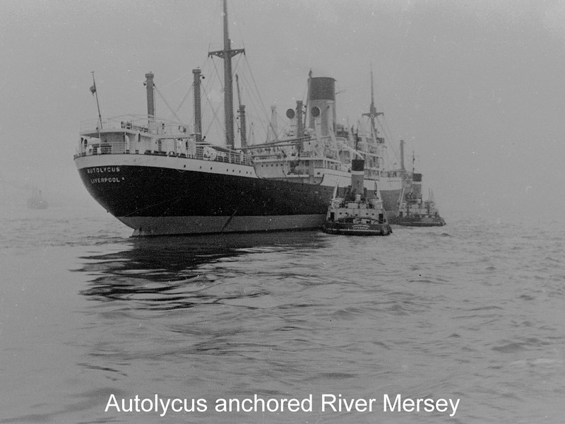 Click image for larger version

Name:	aUTOLYCUS.jpg
Views:	0
Size:	102.6 KB
ID:	44811