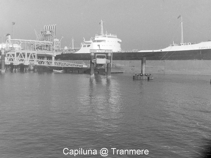 Click image for larger version  Name:	Capiluna.jpg Views:	0 Size:	132.2 KB ID:	44895