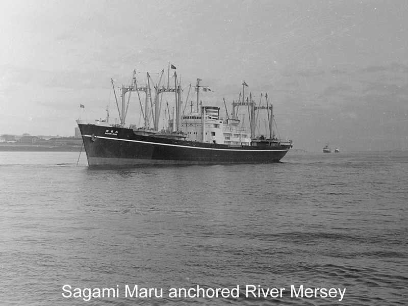 Click image for larger version

Name:	Sagami Maru 2.jpg
Views:	0
Size:	123.5 KB
ID:	45079
