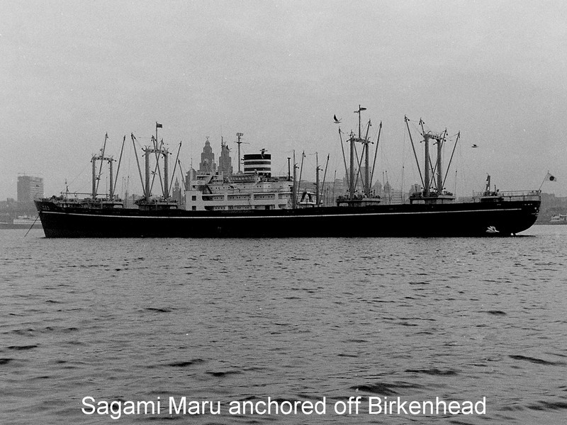 Click image for larger version

Name:	Sagami Maru.jpg
Views:	0
Size:	146.3 KB
ID:	45080