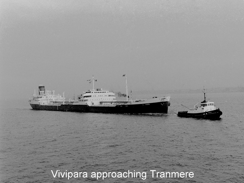 Click image for larger version  Name:	Vivipara.jpg Views:	0 Size:	112.2 KB ID:	45086