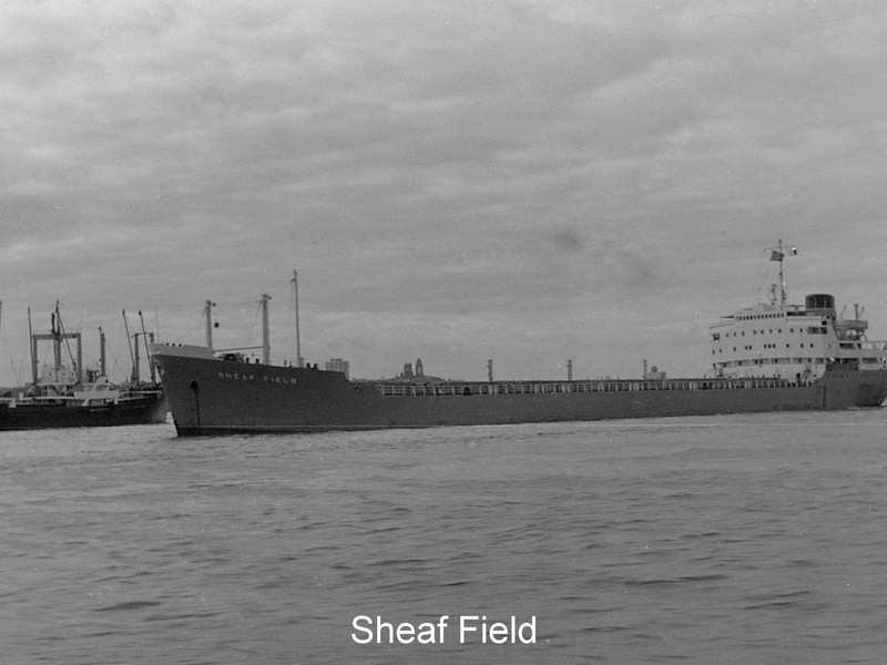 Click image for larger version  Name:	Sheaf Field.jpg Views:	0 Size:	97.6 KB ID:	45170