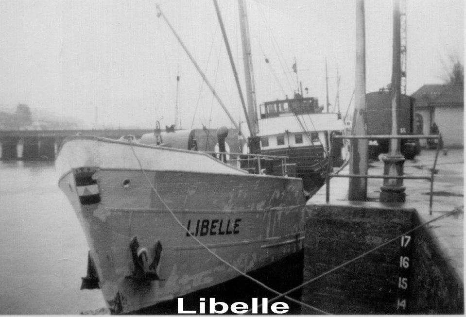 Click image for larger version

Name:	Libelle.jpg
Views:	0
Size:	105.8 KB
ID:	48384