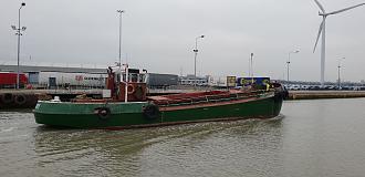 Click image for larger version  Name:	lady kitty.jpg Views:	0 Size:	206.9 KB ID:	58553