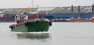 Click image for larger version  Name:	lady kitty 3.jpg Views:	0 Size:	159.3 KB ID:	58556