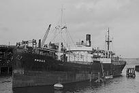 Click image for larger version

Name:	Angus .jpg
Views:	0
Size:	438.3 KB
ID:	64889