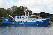 Click image for larger version

Name:	Sea%20Punk%20I%2CUk%2C20220929%2CHGW%2C9733.jpg
Views:	0
Size:	160.8 KB
ID:	69137