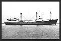 Click image for larger version

Name:	Baltic Comet-01.jpg
Views:	0
Size:	111.1 KB
ID:	68440