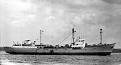 Click image for larger version

Name:	Baltic Comet-03.jpg
Views:	0
Size:	93.0 KB
ID:	68441