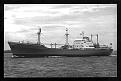 Click image for larger version

Name:	Baltic Sun-01.jpg
Views:	0
Size:	107.7 KB
ID:	68470