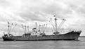Click image for larger version

Name:	Baltic Trader-01.jpg
Views:	0
Size:	128.3 KB
ID:	68481