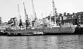 Click image for larger version

Name:	Baltic Sun--Boxer-01.jpg
Views:	0
Size:	273.7 KB
ID:	68559